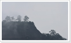 Klicken Sie auf das Bild, um es zu vergr&ouml;&szlig;ern