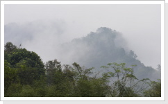 Klicken Sie auf das Bild, um es zu vergr&ouml;&szlig;ern