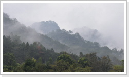 Klicken Sie auf das Bild, um es zu vergr&ouml;&szlig;ern