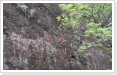 Klicken Sie auf das Bild, um es zu vergr&ouml;&szlig;ern