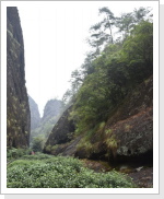 Klicken Sie auf das Bild, um es zu vergr&ouml;&szlig;ern