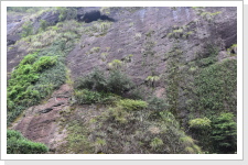 Klicken Sie auf das Bild, um es zu vergr&ouml;&szlig;ern