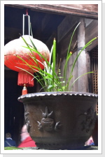 Klicken Sie auf das Bild, um es zu vergr&ouml;&szlig;ern