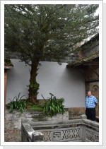 Klicken Sie auf das Bild, um es zu vergr&ouml;&szlig;ern