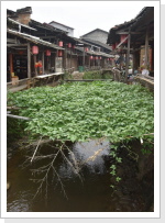 Klicken Sie auf das Bild, um es zu vergr&ouml;&szlig;ern