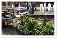 Klicken Sie auf das Bild, um es zu vergr&ouml;&szlig;ern