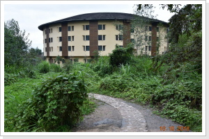 Klicken Sie auf das Bild, um es zu vergrößern