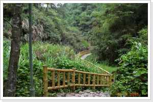 Klicken Sie auf das Bild, um es zu vergrößern