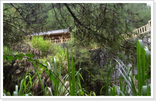 Klicken Sie auf das Bild, um es zu vergrößern