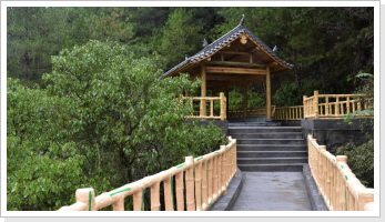 Klicken Sie auf das Bild, um es zu vergrößern