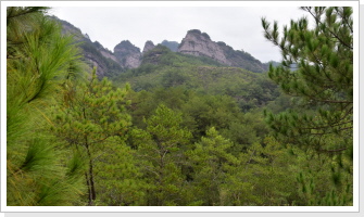 Klicken Sie auf das Bild, um es zu vergrößern