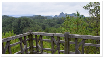 Klicken Sie auf das Bild, um es zu vergrößern