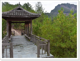 Klicken Sie auf das Bild, um es zu vergrößern