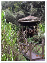 Klicken Sie auf das Bild, um es zu vergrößern